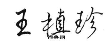 駱恆光王植珍行書個性簽名怎么寫