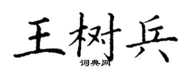 丁謙王樹兵楷書個性簽名怎么寫