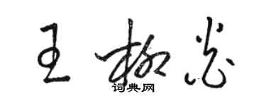 駱恆光王柳炎草書個性簽名怎么寫