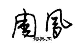 朱錫榮周鳳草書個性簽名怎么寫