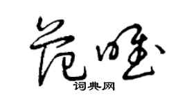 曾慶福范唯草書個性簽名怎么寫