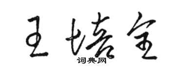 駱恆光王培全草書個性簽名怎么寫