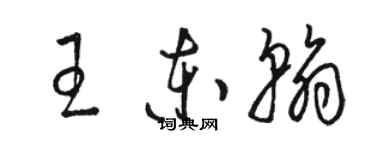 駱恆光王東翰草書個性簽名怎么寫