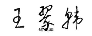 駱恆光王翠韓草書個性簽名怎么寫