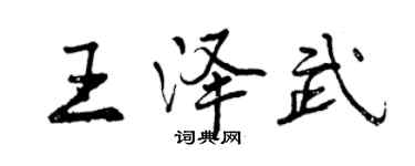 曾慶福王澤武行書個性簽名怎么寫