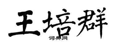 翁闓運王培群楷書個性簽名怎么寫