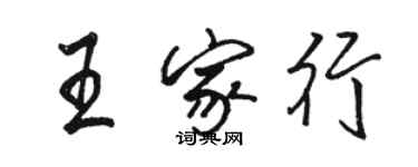 駱恆光王家行行書個性簽名怎么寫