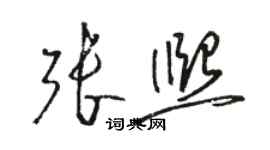 駱恆光張熙草書個性簽名怎么寫