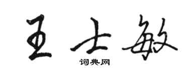 駱恆光王士敏行書個性簽名怎么寫