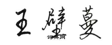 駱恆光王壁蔓行書個性簽名怎么寫