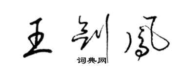 梁錦英王劍鳳草書個性簽名怎么寫