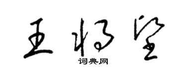 梁錦英王將堅草書個性簽名怎么寫