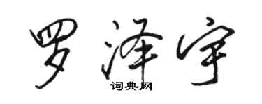 駱恆光羅澤宇行書個性簽名怎么寫