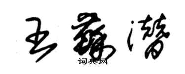 朱錫榮王蘇潛草書個性簽名怎么寫