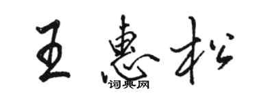 駱恆光王惠松行書個性簽名怎么寫