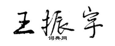 曾慶福王振宇行書個性簽名怎么寫