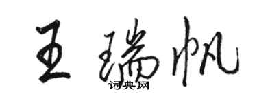 駱恆光王瑞帆行書個性簽名怎么寫