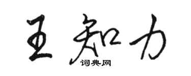 駱恆光王知力行書個性簽名怎么寫