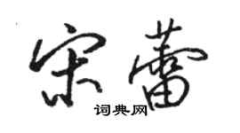 駱恆光宋蕾行書個性簽名怎么寫