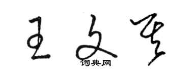 駱恆光王文其草書個性簽名怎么寫