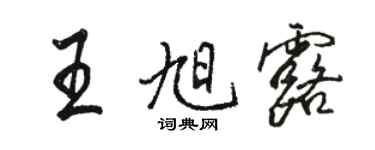 駱恆光王旭露行書個性簽名怎么寫