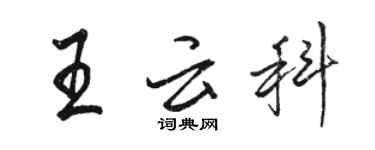 駱恆光王雲科行書個性簽名怎么寫