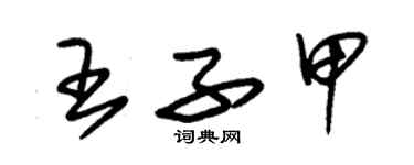 朱錫榮王子甲草書個性簽名怎么寫