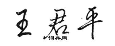 駱恆光王君平行書個性簽名怎么寫