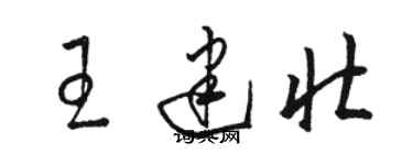 駱恆光王建壯草書個性簽名怎么寫