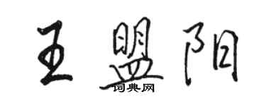 駱恆光王盟陽行書個性簽名怎么寫