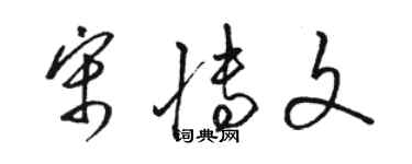 駱恆光宋博文草書個性簽名怎么寫