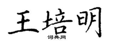 丁謙王培明楷書個性簽名怎么寫