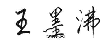 駱恆光王墨沸行書個性簽名怎么寫