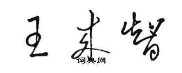 駱恆光王來智草書個性簽名怎么寫