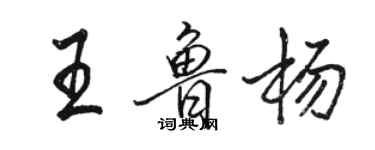 駱恆光王魯楊行書個性簽名怎么寫