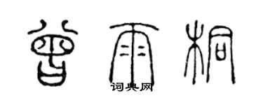 陳聲遠曾雨桐篆書個性簽名怎么寫