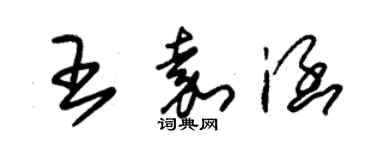 朱錫榮王嘉涵草書個性簽名怎么寫