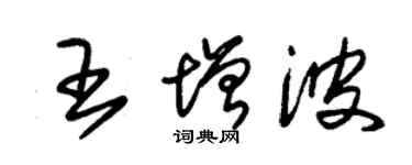 朱錫榮王增波草書個性簽名怎么寫