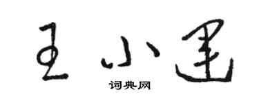 駱恆光王小運草書個性簽名怎么寫
