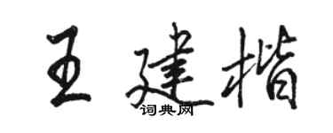 駱恆光王建楷行書個性簽名怎么寫