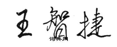 駱恆光王智捷行書個性簽名怎么寫