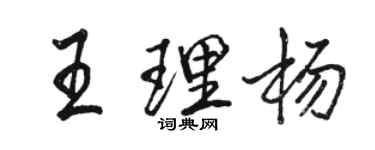 駱恆光王理楊行書個性簽名怎么寫