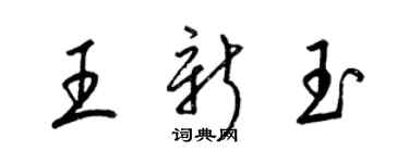 梁錦英王新玉草書個性簽名怎么寫