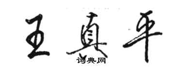 駱恆光王真平行書個性簽名怎么寫