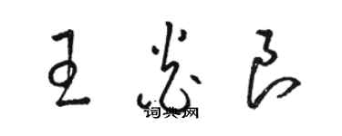 駱恆光王炎良草書個性簽名怎么寫