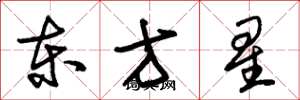 朱錫榮東方星草書怎么寫