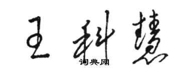 駱恆光王科慧草書個性簽名怎么寫