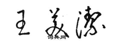 駱恆光王美潔草書個性簽名怎么寫