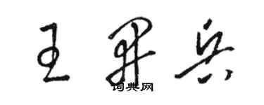 駱恆光王開兵草書個性簽名怎么寫