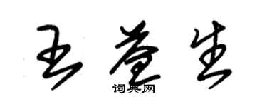 朱錫榮王益生草書個性簽名怎么寫
